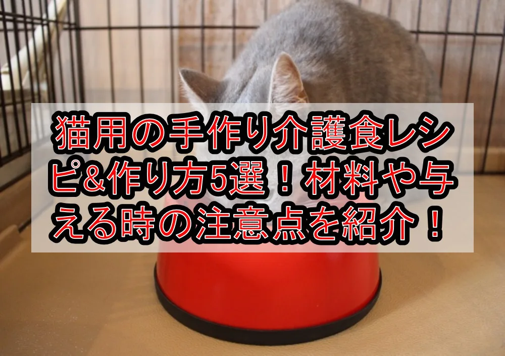 猫用の手作り介護食レシピ&作り方5選！材料や与える時の注意点を紹介！