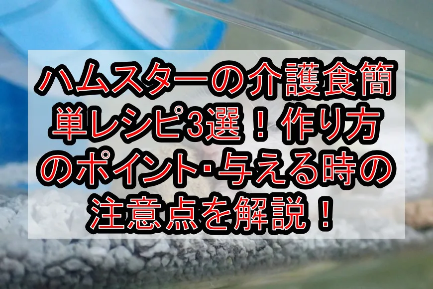 ハムスターの介護食簡単レシピ3選！材料と作り方のポイント・与える時の注意点を解説！