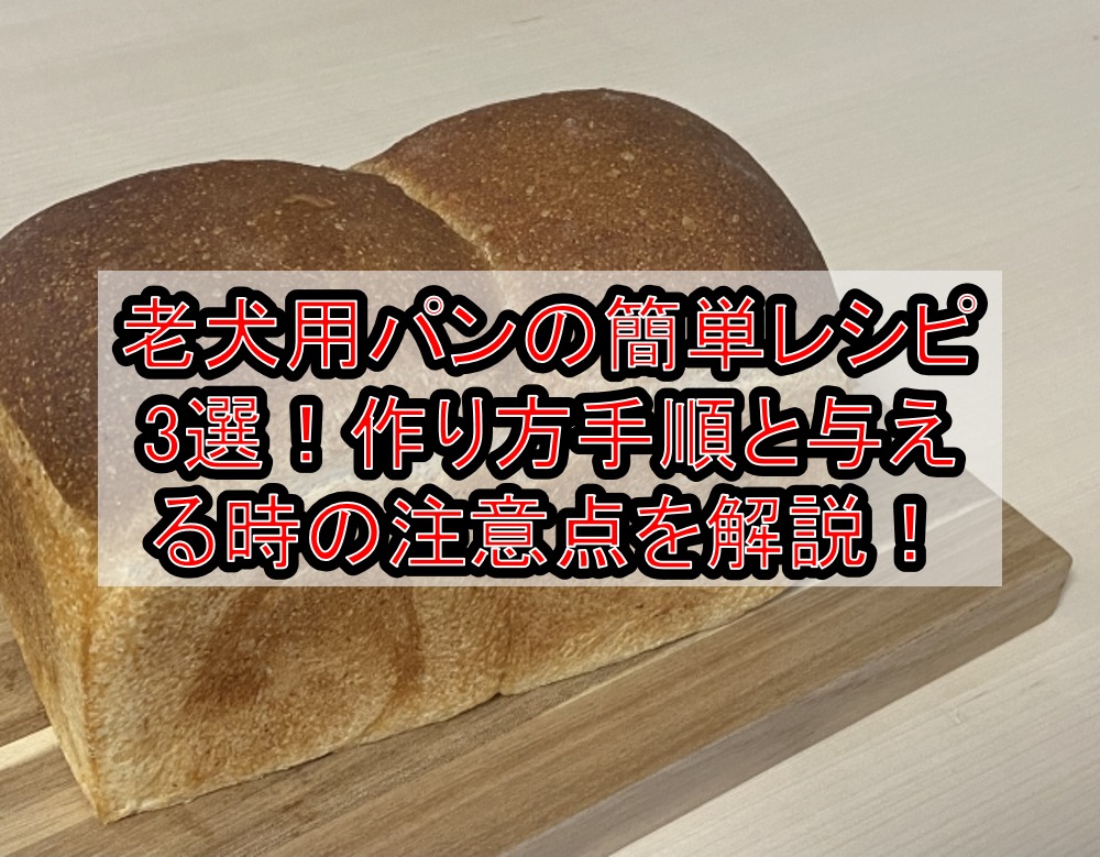 老犬用パンの簡単レシピ3選 作り方手順と与える時の注意点を徹底解説 ディディ宅配弁当子