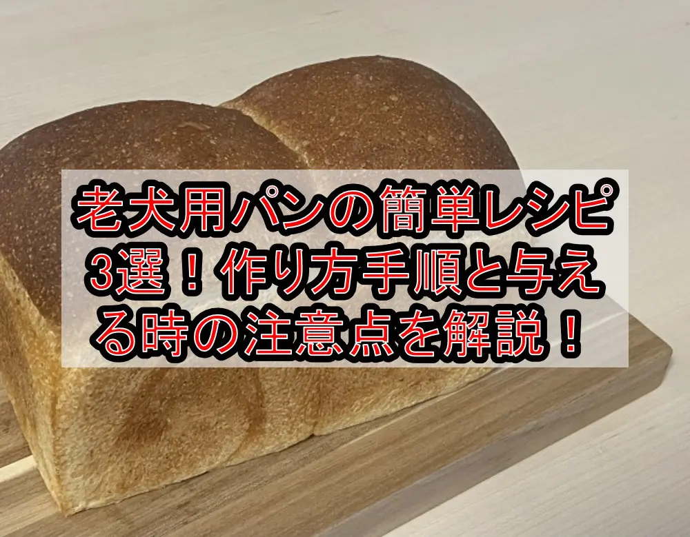 老犬用パンの簡単レシピ3選!作り方手順と与える時の注意点を徹底解説!