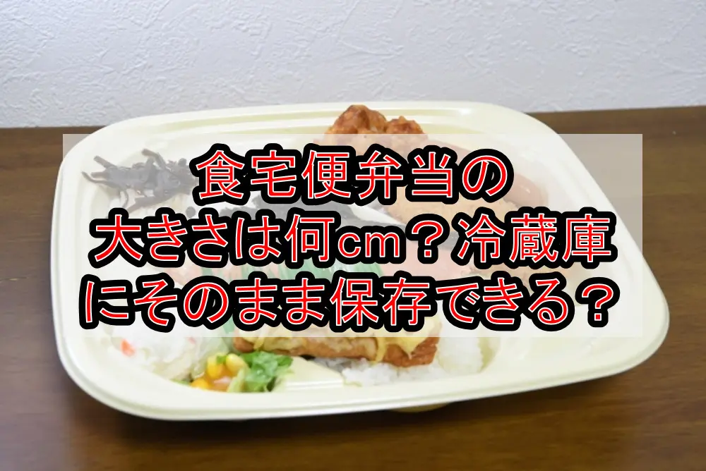 食宅便弁当の大きさは何cm?冷蔵庫にそのまま保存できる?