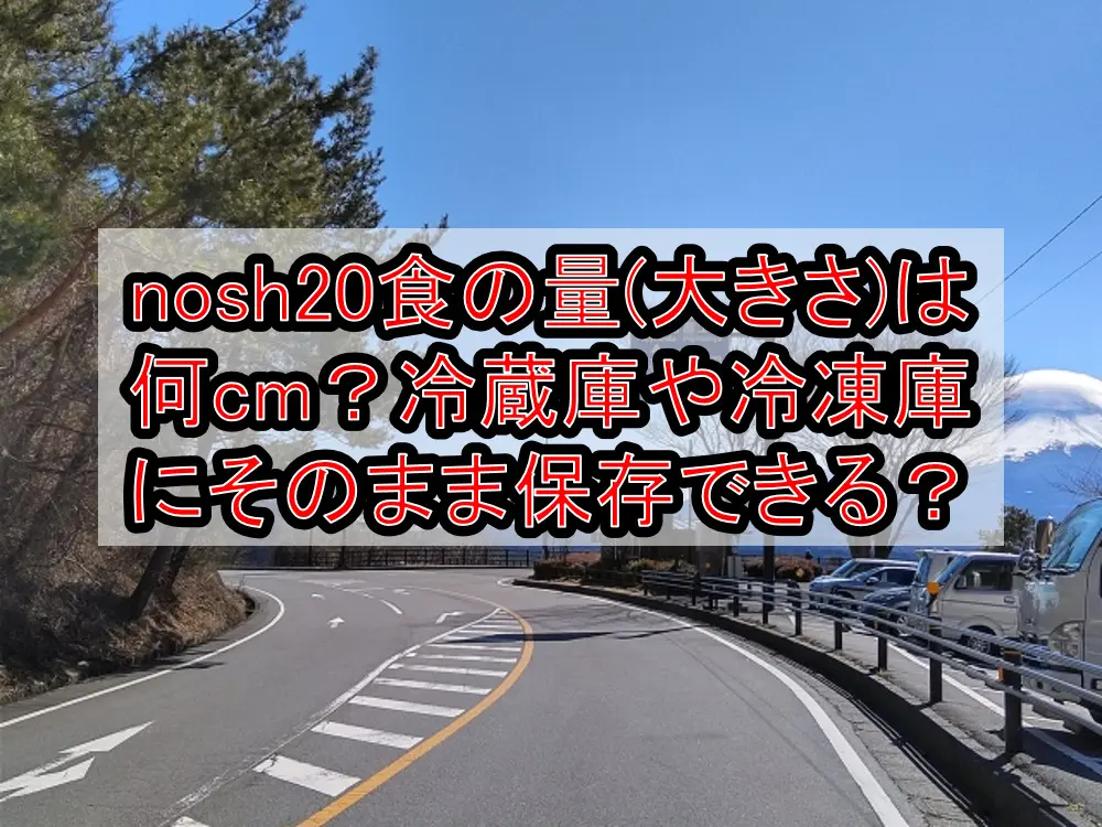 nosh20食の量(大きさ)は何cm？冷蔵庫や冷凍庫にそのまま保存できる？