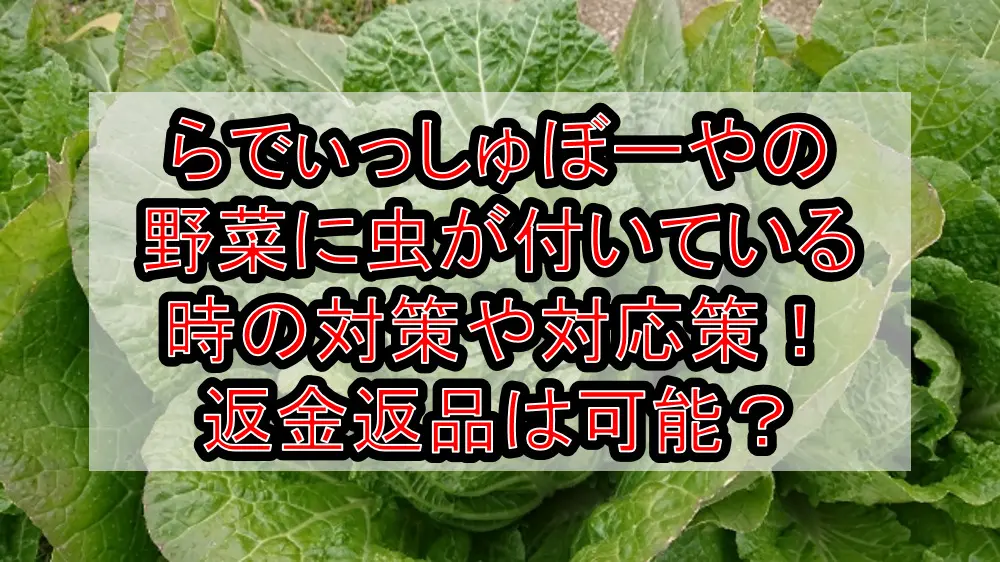 らでぃっしゅぼーやの野菜に虫が付いている時の対策や対応策！返金返品は可能？