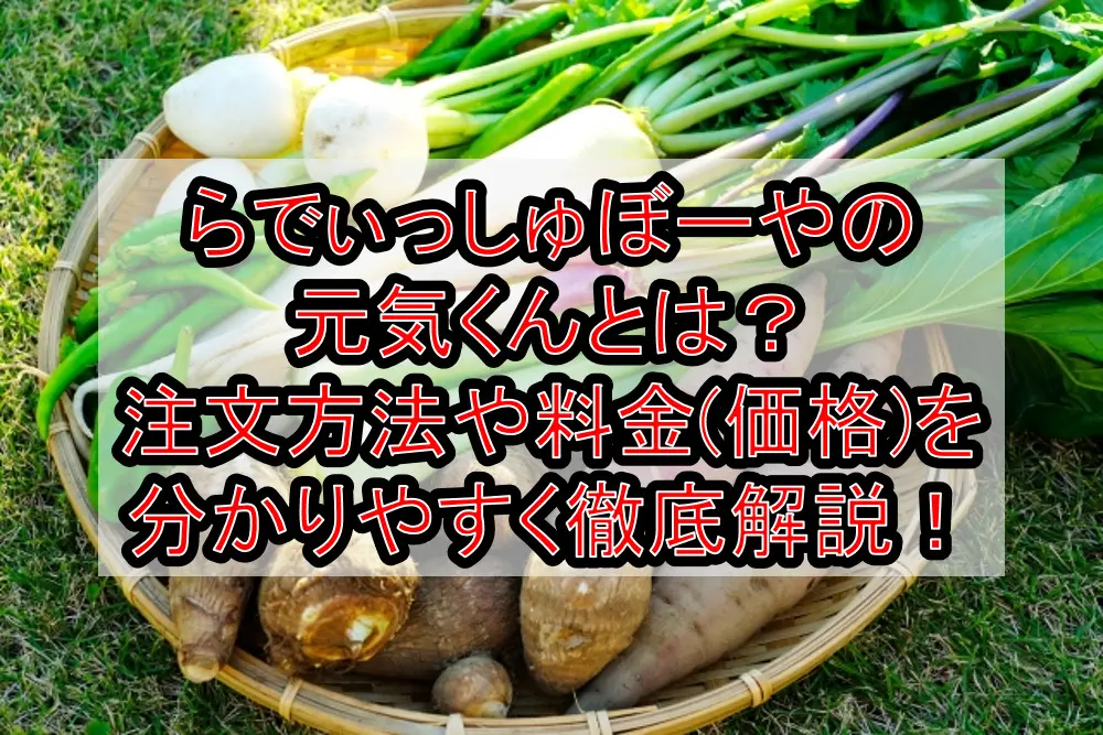 らでぃっしゅぼーやの元気くんとは?注文方法や料金(価格)を分かりやすく徹底解説!