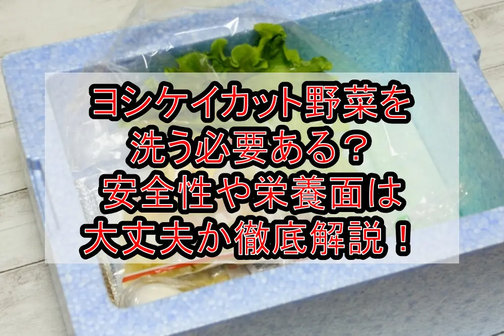 ヨシケイカット野菜を洗う必要ある？安全性や栄養面は大丈夫か徹底解説！