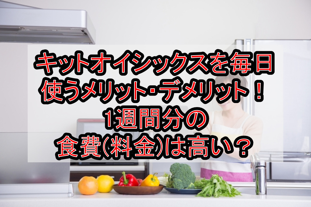 キットオイシックスを毎日使うメリット・デメリットまとめ!1週間分の食費(料金)は高い?