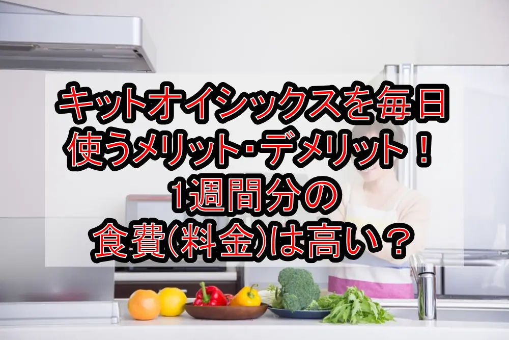 キットオイシックスを毎日使うメリット・デメリットまとめ!1週間分の食費(料金)は高い?