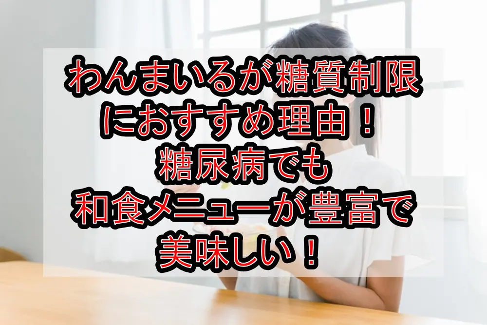 わんまいるが糖質制限におすすめ理由!糖尿病でも和食メニューが豊富で美味しい!
